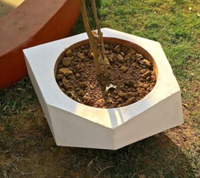 crazy_planter