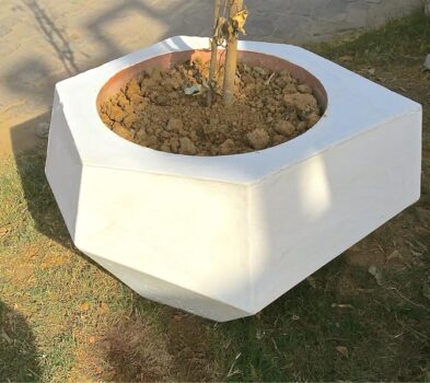 crazy_planter2